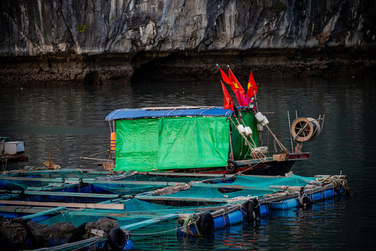 vietnam, vietnam travel, southeast asia, asia travel, ha long bay, halong bay vietnam, limestone karst, cat ba island, tropical landscape, ninh binh, tam coc, rice fields vietnam, river landscape, une