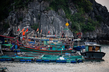 vietnam, vietnam travel, southeast asia, asia travel, ha long bay, halong bay vietnam, limestone karst, cat ba island, tropical landscape, ninh binh, tam coc, rice fields vietnam, river landscape, une