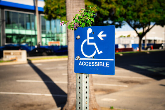 Blue accessible parking sign with wheelchair symbol and arrow, next to a palm tree