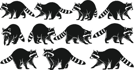 WebBlack vector silhouette set of raccoons for concepts of wildlife nature scavenging nocturnal animals forest creatures outdoors and mascot branding © Robiul