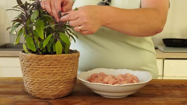 Process of seasoning chicken slices for cooking

