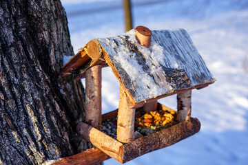 Winter Bird Feeder on a Snowy Tree Trunk
