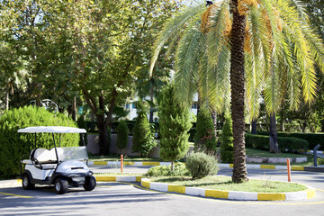 A golf cart parked under a palm tree in a resort © Yucel