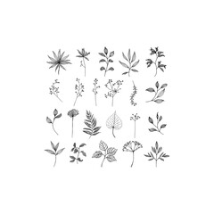 vector illustration of a set of icons. bundle vector set of black silhouettes of plants. Set of Minimalist Culinary Herb Silhouettes Vector.