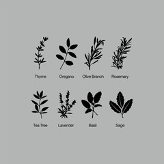 bundle vector set of black silhouettes of plants. Set of Minimalist Culinary Herb Silhouettes Vector.