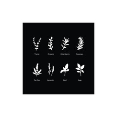 chinese new year calligraphy phrase