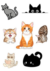 Obraz premium fluffy cats transparent bg png image 