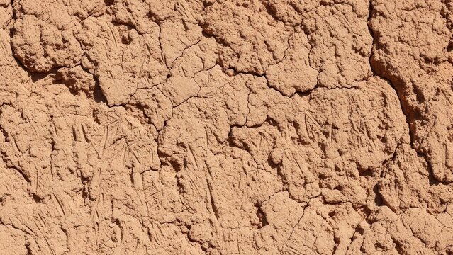 Textured Clay Wall With Fine Cracks And Imperfections Background
