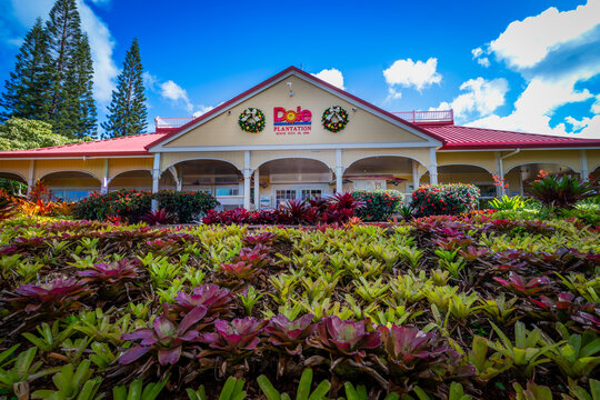 Wahiawa, HI &mdash; November 29, 2024; Front entrance of the Dole Plantation on Oahu, with tropical landscaping, gardens, and the plantation&rsquo;s signature red-roof building