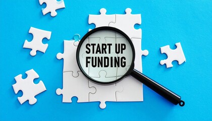 Funding the Vision: Puzzle of Possibilities