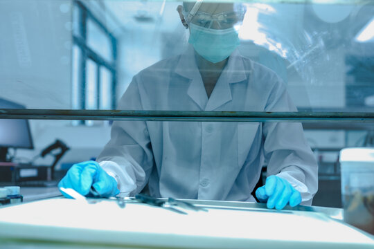 Lab technician working behind glass sash of fume hood for safety. Scientist in blue gloves managing chemical experiment in ventilated biosafety cabinet securely.