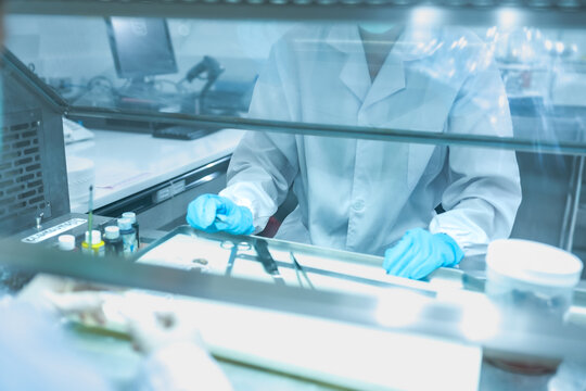 Medical pathologist performing gross examination of tissue biopsy. Scientist in safety hood cutting surgical specimen for cancer diagnosis in sterile lab.