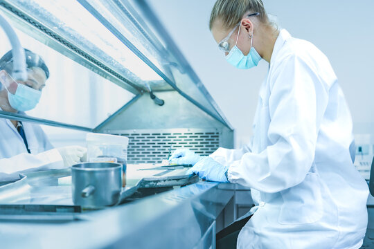 Lab technician working behind glass sash of fume hood for safety. Scientist in blue gloves managing chemical experiment in ventilated biosafety cabinet securely.