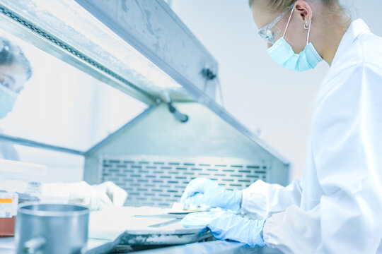 Scientist working in biosafety cabinet with high protection. Female researcher in mask and gloves handling sample in sterile laminar flow hood site.