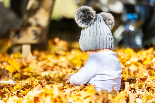 Baby playing in golden autumn leaves outdoors