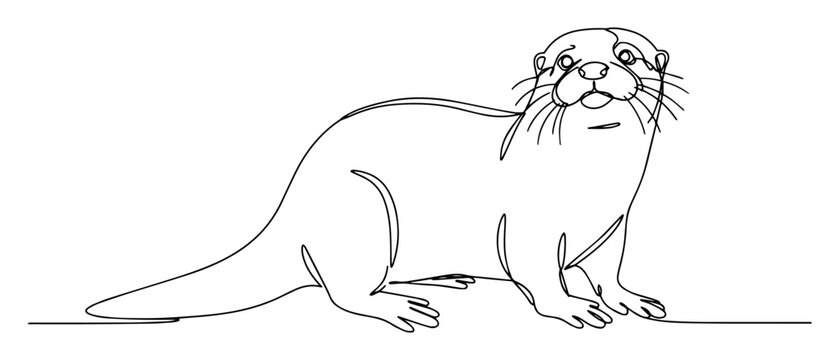 otter standing line art illustration