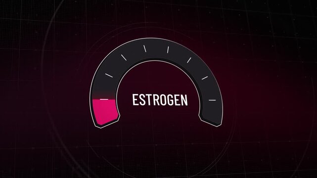 Estrogen hormone meter reading from low deficiency to high peak and then decreasing, fluctuation, hormonal imbalance, reproductive health changes, menopause symptoms, medical animation. Copy space