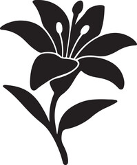 Lilie Flower Vector Illustration Isolated on White Background © aflat hossen