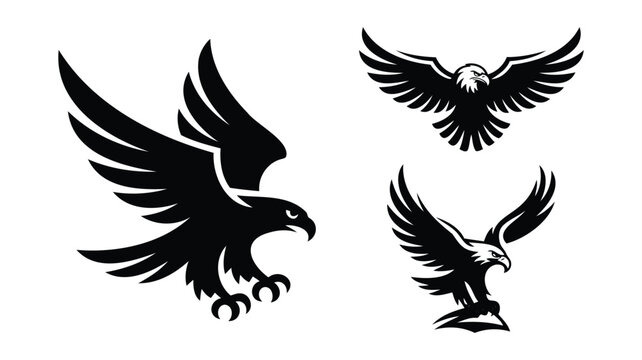 Three black eagle silhouettes in dynamic flight poses