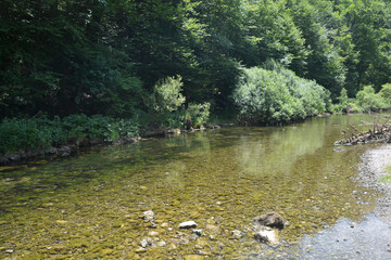 The shallow and clear river Kamacnik flows over a rocky bed surrounded by a dense green forest in the Gorski Kotar region