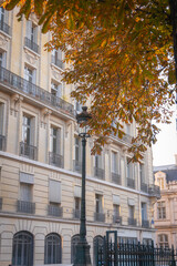 Obraz premium Paris street in Autumn