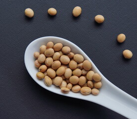 raw organic yellow soybeans isolated background. these high-protein legumes are a crucial agricultural commodity and the primary ingredient for producing tofu, tempeh, soy milk, and soy sauce