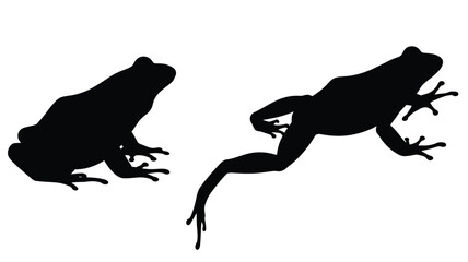 Two black frog silhouettes jumping and resting a striking image silhouette © MDShawon
