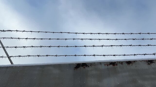 Iced barbed wire rows atop of the metal fence