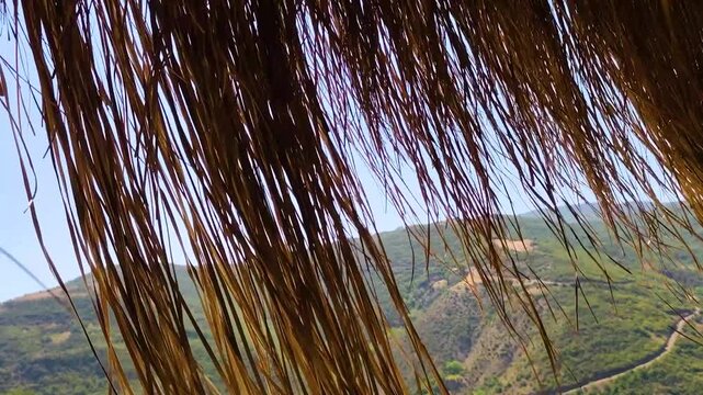 Scenic Landscape of Lush Green Hills and Mountains in Ucmakdere, Tekirdag, Viewed Through a Rustic Straw Thatched Roof Under a Clear Blue Sky - Nature and Travel Concept