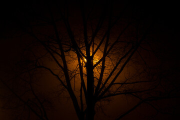 Obraz premium atmospheric nighttime