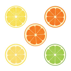Obraz premium Lemon, Orange, Lime Colors in Artistic Composition