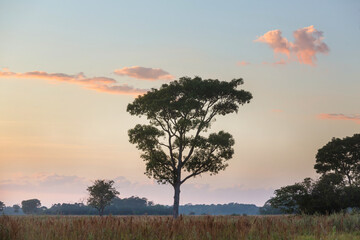 Obraz premium Rural landscapes in Brazil