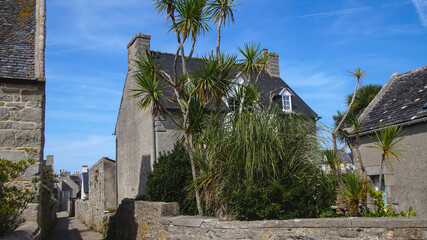 Obraz premium A quiet village street lined with stone houses and tall palm trees, creating a peaceful and charming rural atmosphere.
