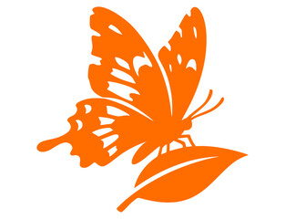 Side view butterfly silhouette on leaf, decorative vector © Canguo
