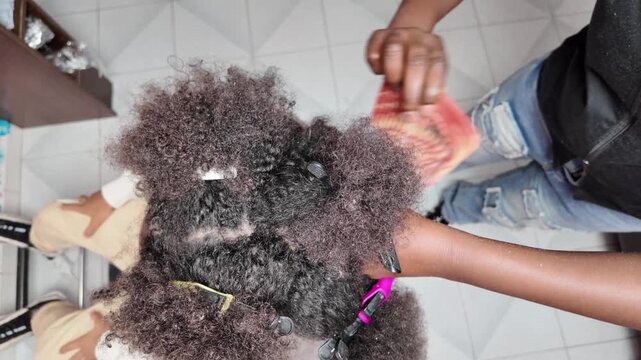 Top-down view of teen boy&rsquo;s head with sectioned afro hair as stylist combs strands to start braiding