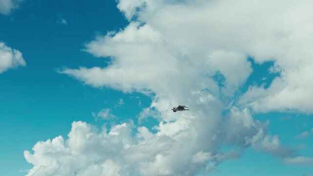 Seagulls Flying in a Soft Cloudy Sky