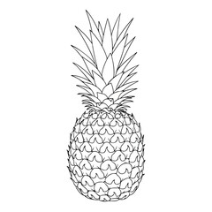 Obraz premium Detailed pineapple outline drawing isolated on plain background