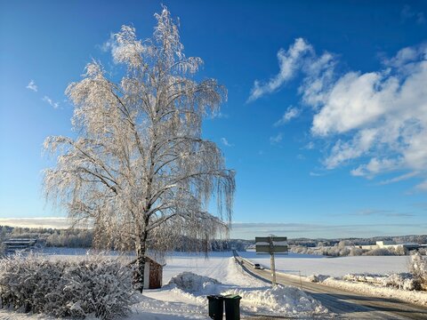 Invierno soleado