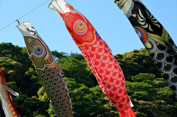 鯉のぼり