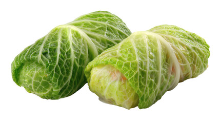 Fototapeta premium tuffed cabbage rolls golubtsy, traditional food, isolated on a white background