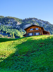 Traditional Wooden Chalet on Steep Alpine Slope