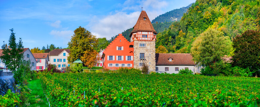 Panoramic View of the Historic Red House and Vineyard in Vaduz