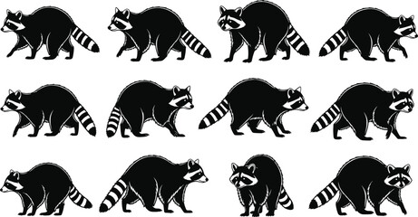 Raccoon silhouette set featuring black woodland animals in multiple walking poses, ideal for wildlife logos, forest mascot designs, vector clipart, and nature illustrations © Arman's World