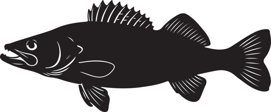 Walleye Freshwater Fish with Sharp Eyes and Predatory Body Form