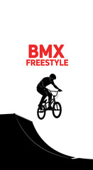 Obraz premium Dynamic Bmx Freestyle Rider Performing Aerial Stunts On Ramp