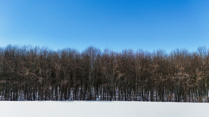 woods forest background drone aerial photography background nobody texture winter snowy