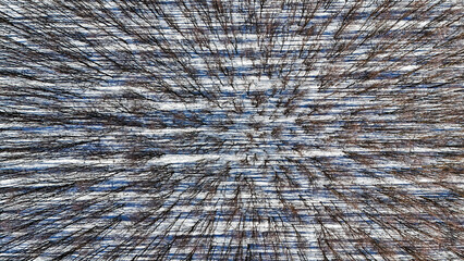 woods forest background drone aerial photography background nobody texture winter snowy