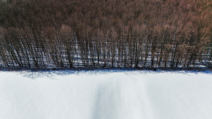 woods forest background drone aerial photography background nobody texture winter snowy
