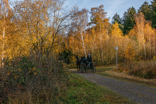 Das Naturschutzgebiet Schlangenberg -Stolberg Rhld. 