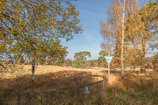 Das Naturschutzgebiet Schlangenberg -Stolberg Rhld. 